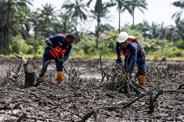 Big Oil's Exodus from the Niger Delta